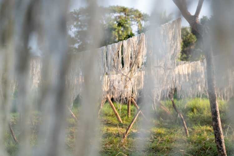 Pineapple leather material - sustainable and recyclable